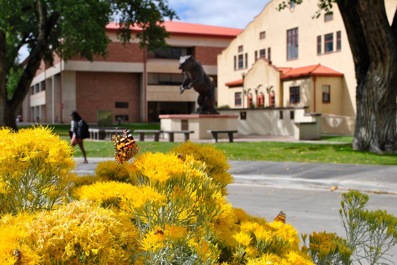 Adams State University
